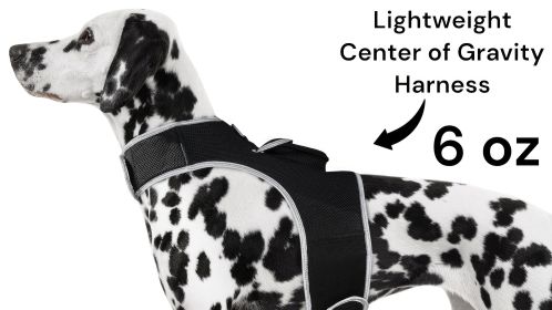 Mini Waterproof GPS Tracker - Realtime GSM GPRS Wireless Pet Tracking Size:L